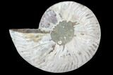 Agatized Ammonite Fossil (Half) - Crystal Chambers #103108-1